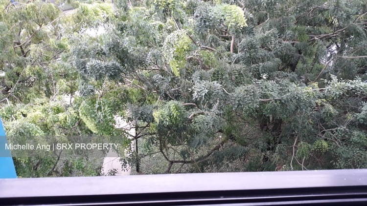 Blk 225A Compassvale Walk (Sengkang), HDB 4 Rooms #449286811